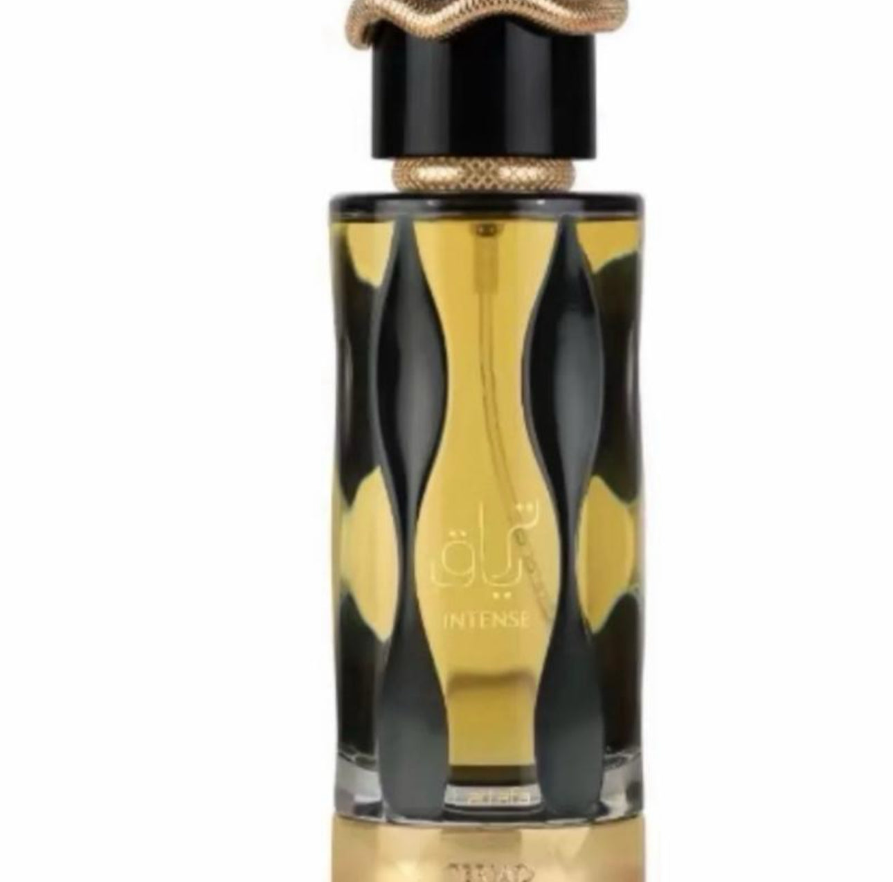 Teriaq Intense  100ml Eau De Parfum Unisex Fragrance